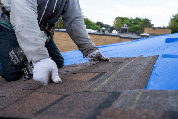 Best Roof Leak Repair  in Carbon Hill, AL